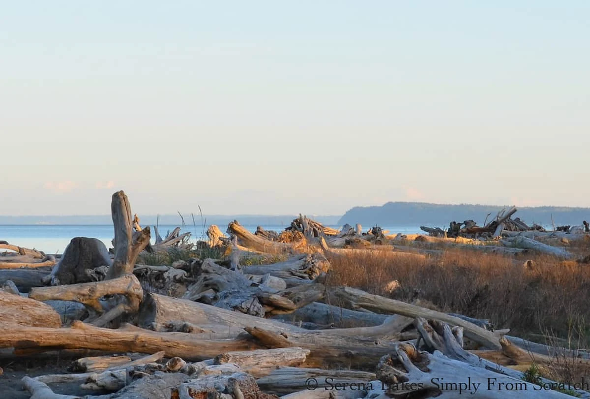 Picture of the Sunset on Camano Island, WA