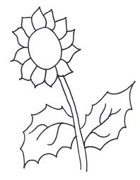 Sunflower Coloring Page