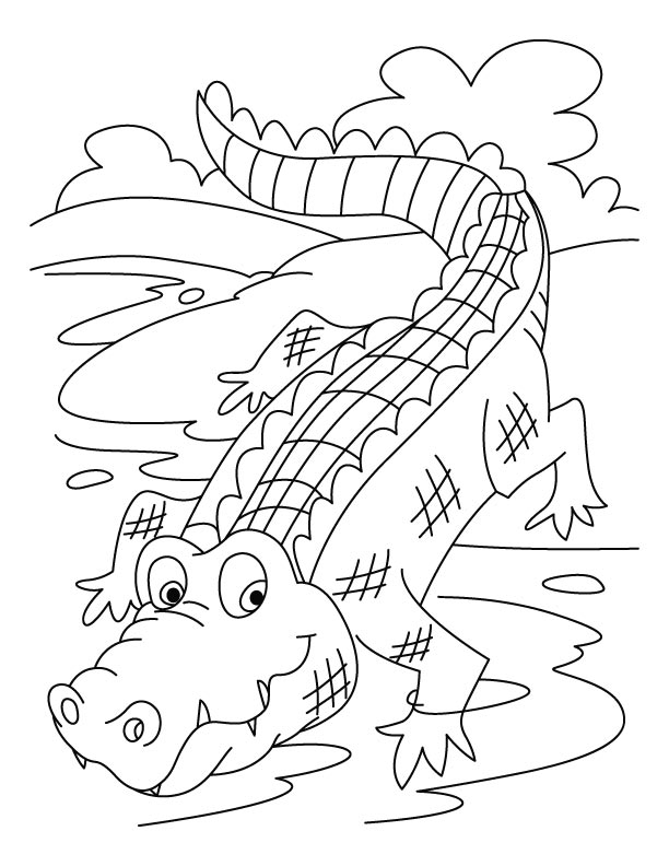 Download Coloring Page Of Animals For Kids: Crocodiles Coloring ...