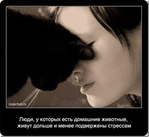 clip_image037