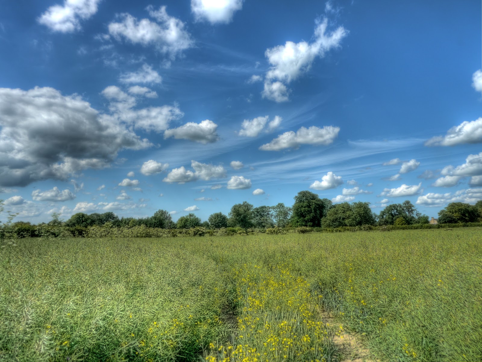 P1130065_59_60_61_62_63_64_tonemapped.JPG