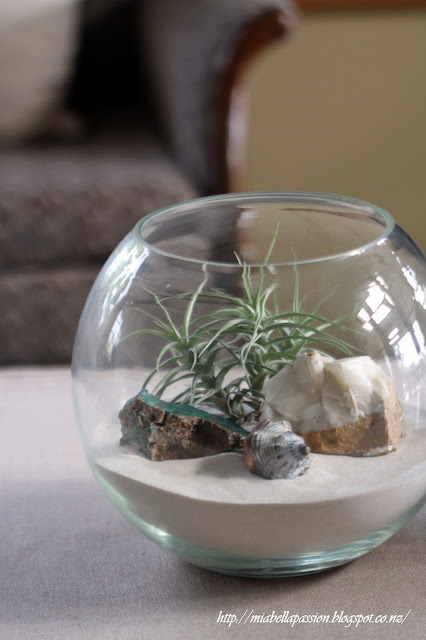 DIY Terrarium