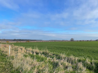 A grassy field under blue skies.