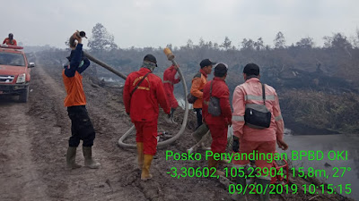 Sepanjang 2019, 4.022 Hektare Lahan di Sumsel Terbakar