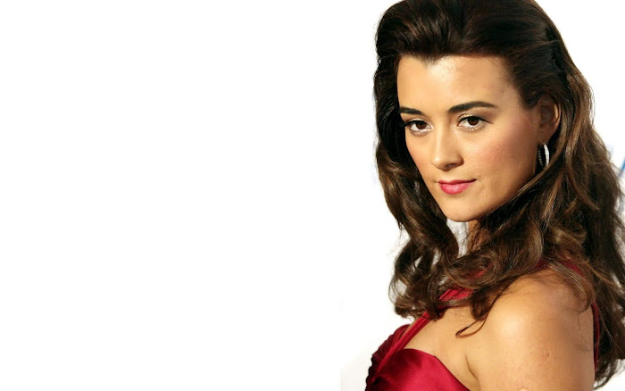 Cote de Pablo HD Wallpaper -09