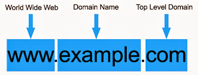 TLD Domain Name