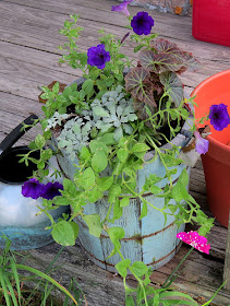planter with petunias and begonia