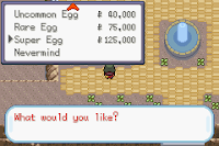 Pokemon Gaia Version screenshot 07