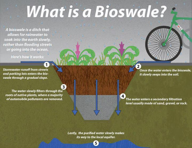  What is a Bioswale?