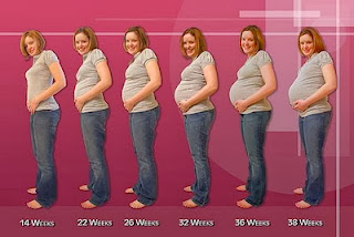 usia kehamilan 7 bulan