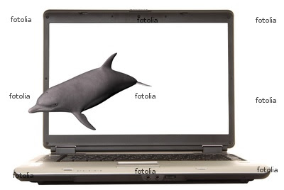 Review Dolphin Laptop Skins