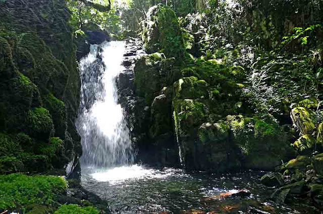 Ruta de las Mil y Una Fervenzas de Mazaricos