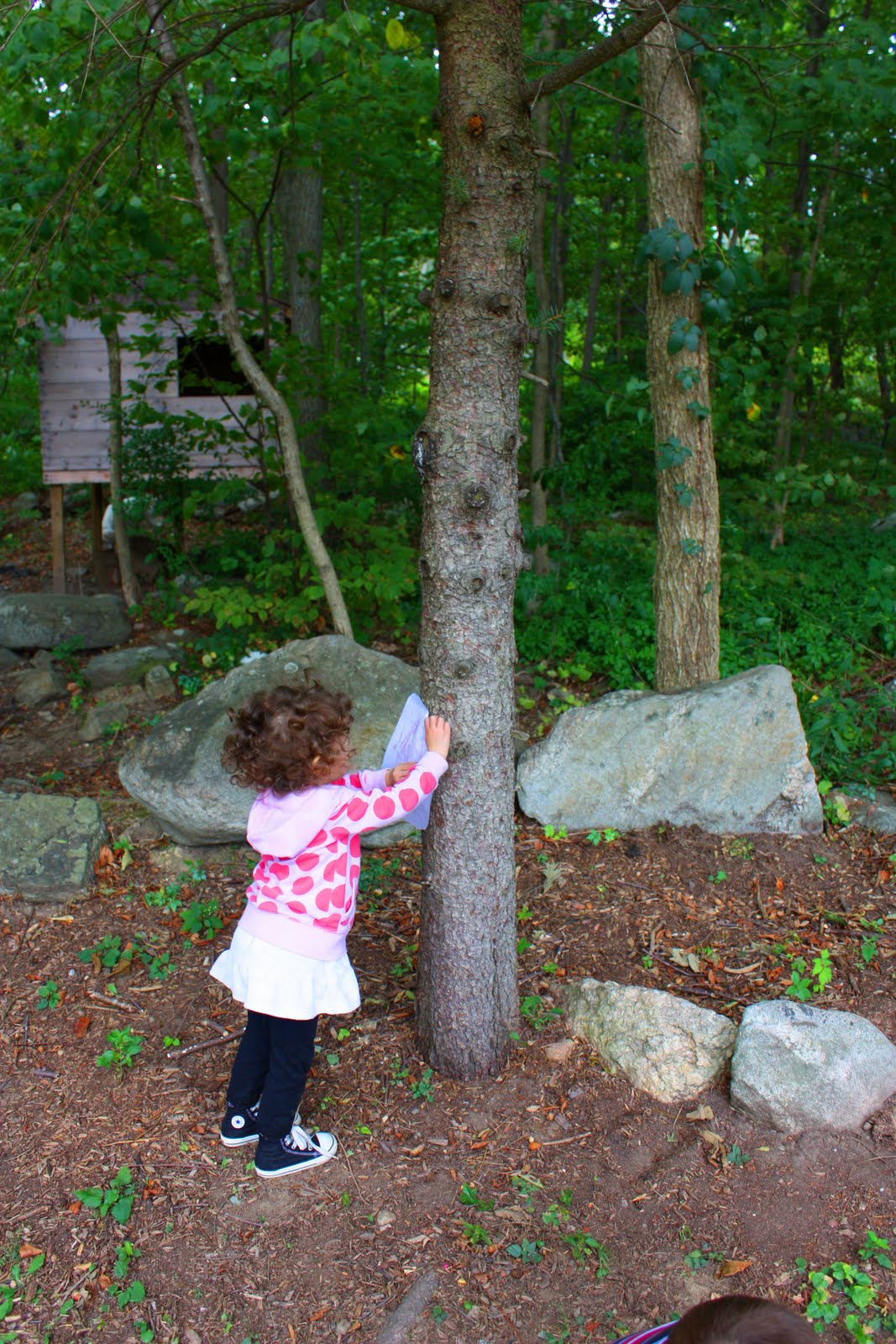 Little Acorn Learning: Squirrels, Nuts & More!