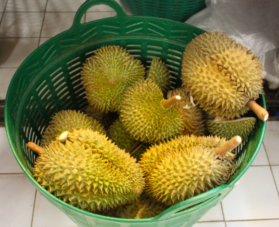 fresh durian fruit at a market in Bangkok, Thailand