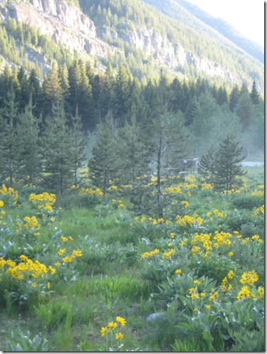 Sawtooth and July 041