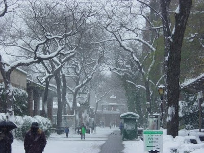 images of new york city snow