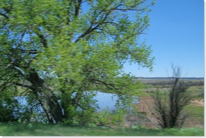 100_5170