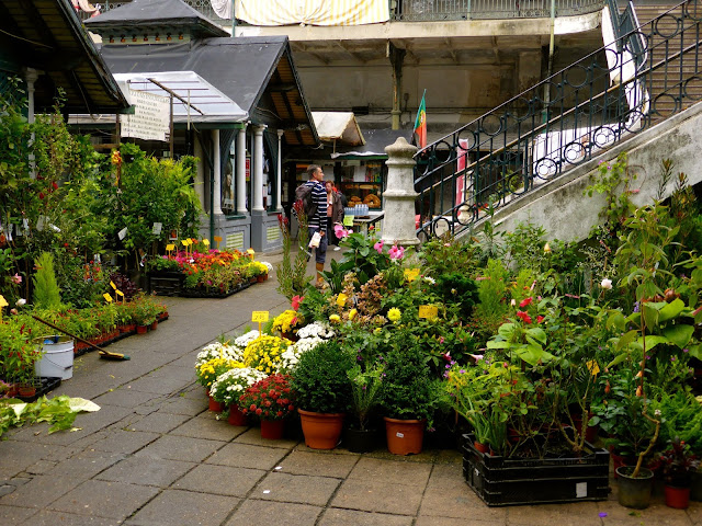 Porto-Mercado do Bolhào