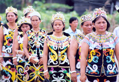  Suku  Dayak  Kalimantan Fitz Freedom Blog