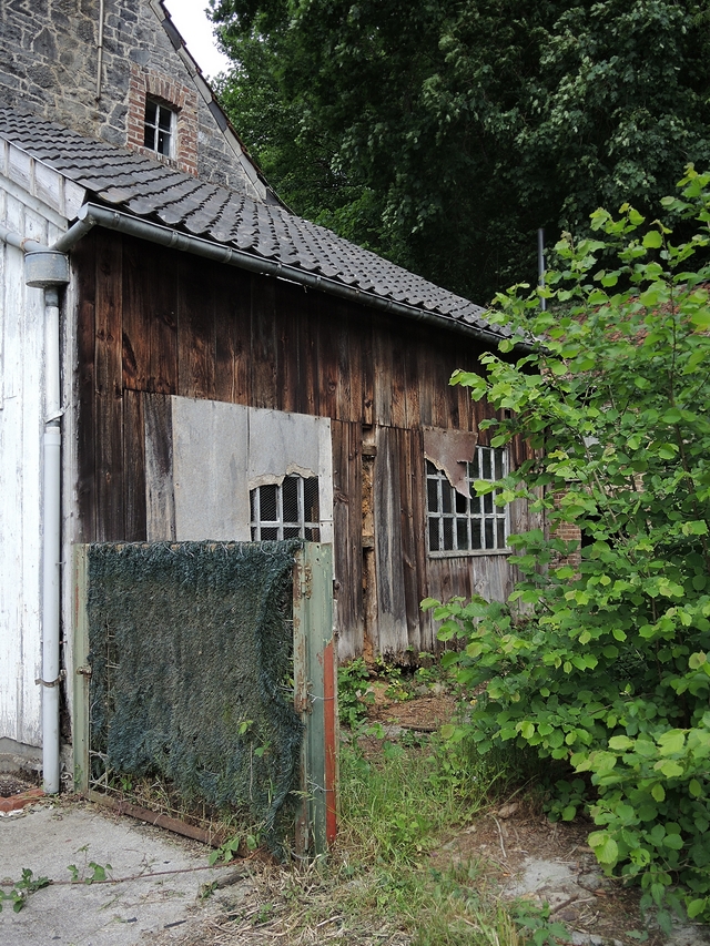 Wallonië: Wandelen in Celles