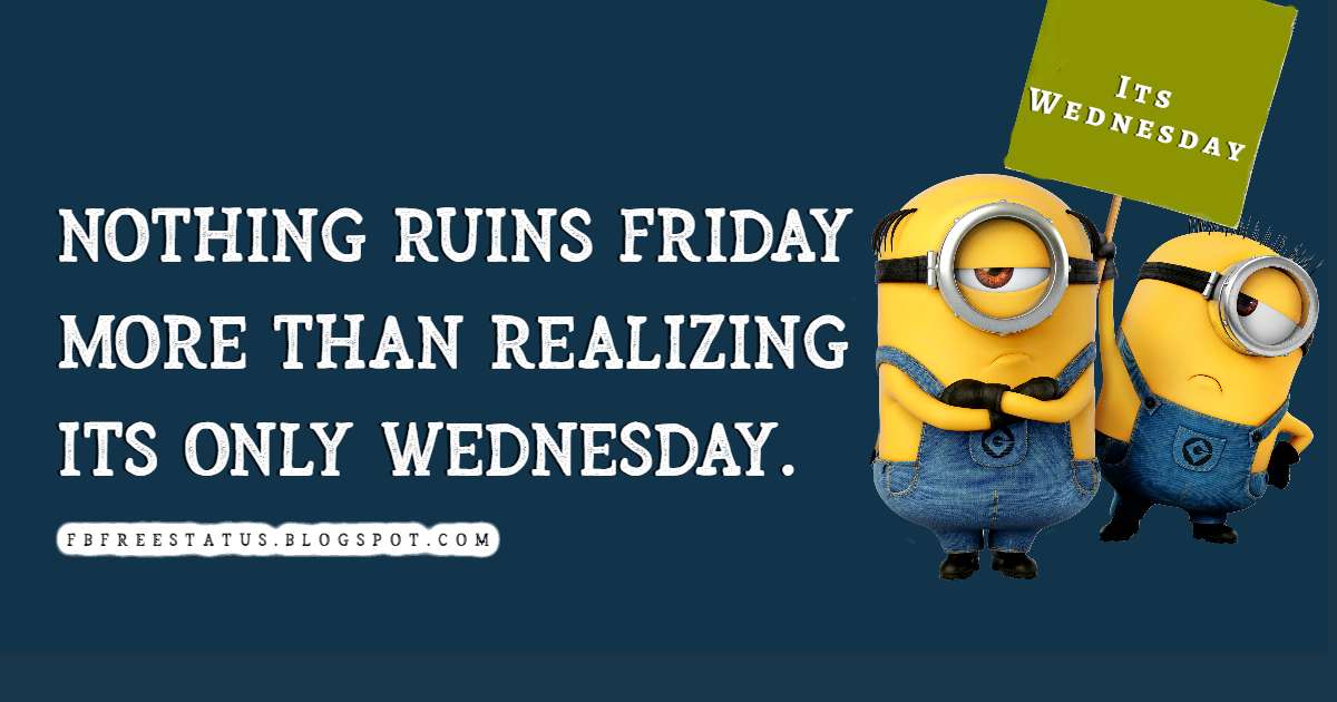 happy wednesday memes funny