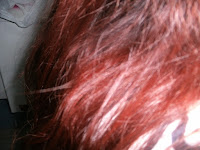 Cabelo.