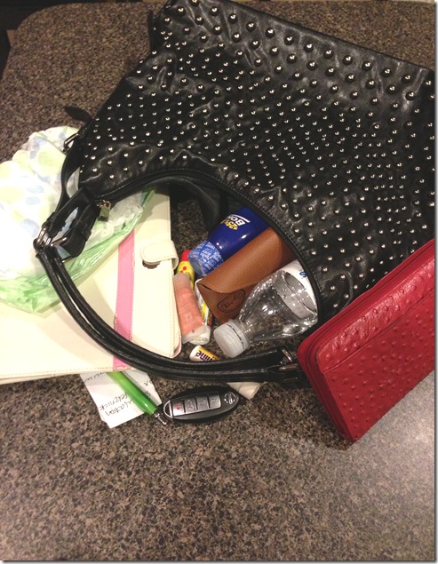 purse