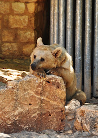 Haifa City Zoo