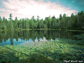 forest lake, ND filter, water, lillypads, clouds, reflection