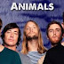 Lirik Lagu Animals - Maroon 5 Dan Terjemahannya