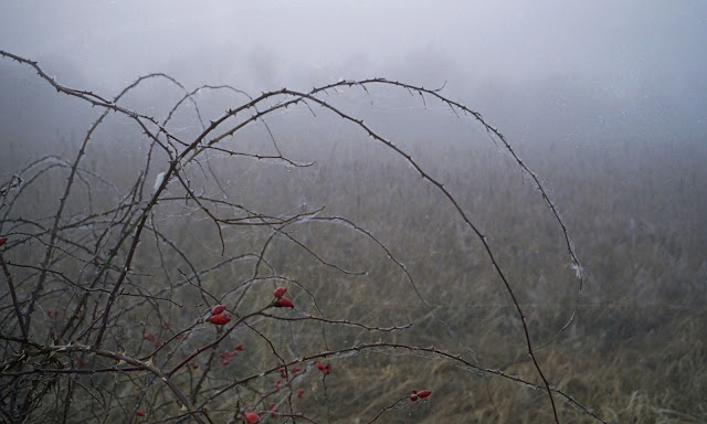 Mist, oudejaarsdag 2019