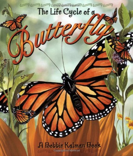 The Life Cycle of a Butterfly, Book