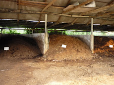 LE MUSHROOM.: Package Rumah Cendawan Dgn 5000 Beg Media 