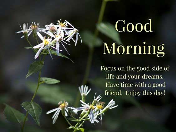 50+ Good Morning SMS and Messages Images, Good Morning GIFS Download