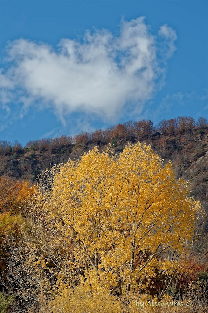 Autumn Colors (@Kaimaktsalan) - Χρώματα Φθινόπωρου (Καϊμακτσαλάν)