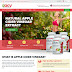 Apple Cider Vinegar Pure