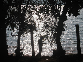 View of Sharavati River from its bank at Holebaagilu