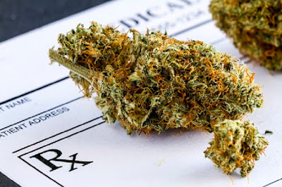 Cannabis grow license