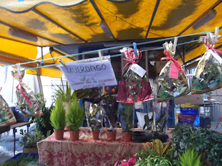 Venta de plantas mercado de Valencia. Navidad 2014