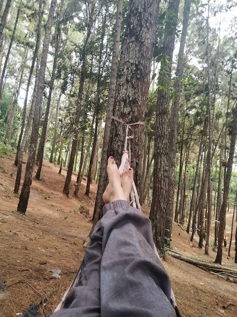 wisata hutan pinus candika riau