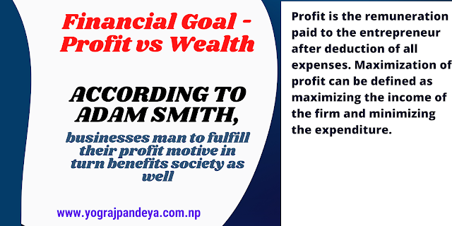 Financial Goal - Profit vs Wealth