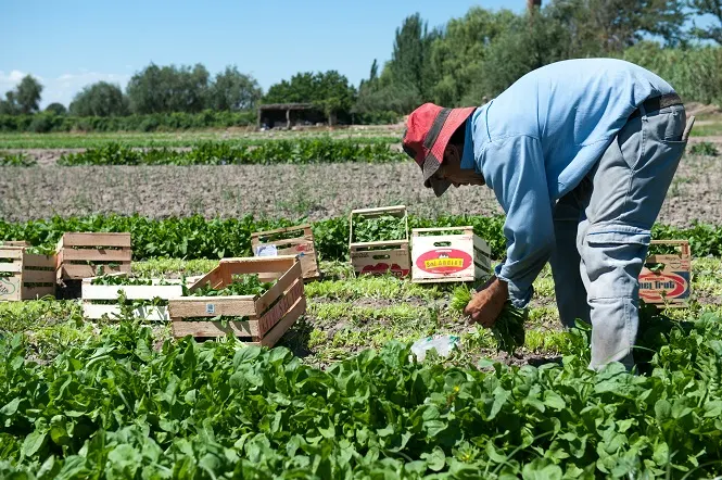 Mendoza Activa: un estímulo concreto para la reactivación