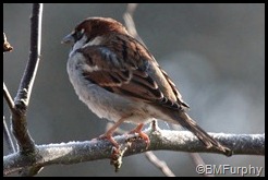 IMG_0177 (2)