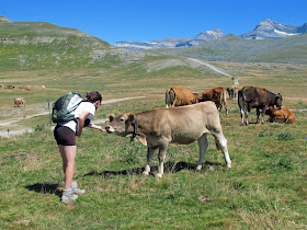 Risultati immagini per Riciclaggio della memoria bioregionalismo, ecologia profonda spiritualitÃ  laica