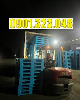 Pallet nhựa Long An, Lợi Bình Nhơn, Tân An Pallet%20nhua%20(33)