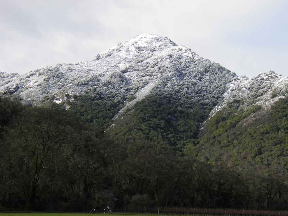 Les Alps de Mendocino