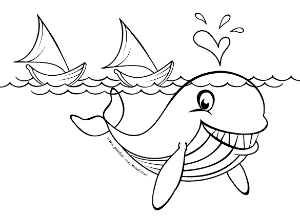 Mewarnai Gambar Ikan Paus / Gambar Mewarnai Gambar Ikan Binatang Laut Diwarnai Kolase ... - People interested in mewarnai ikan paus also searched for.
