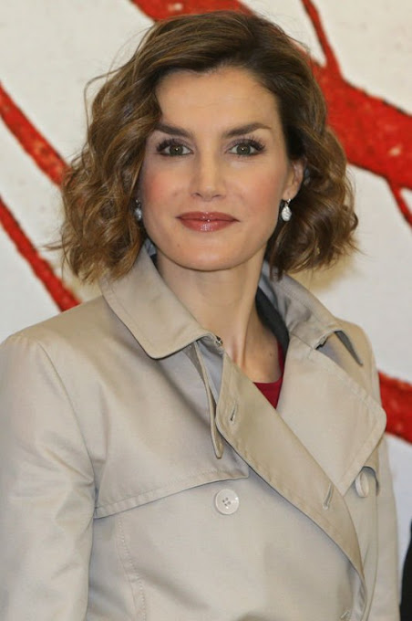 Queen Letizia of Spain attended the first seminar about 'Spain 2030, Spanish Cooperation and the new agenda for sustainable development' at the National Library