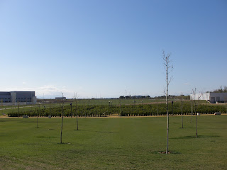 laberinto Barroco parque PLAZA Zaragoza