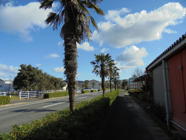 東郷湖線